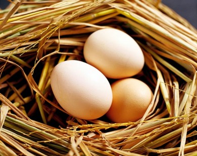 Ăn trứng gà thế nào mới đúng cho bà bầu